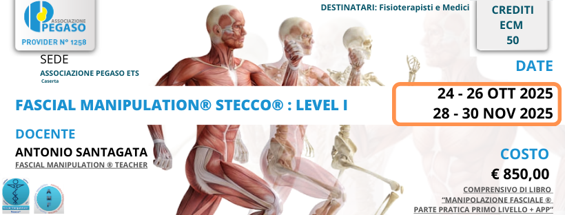FASCIAL MANIPULATION® STECCO® : LEVEL I 2025